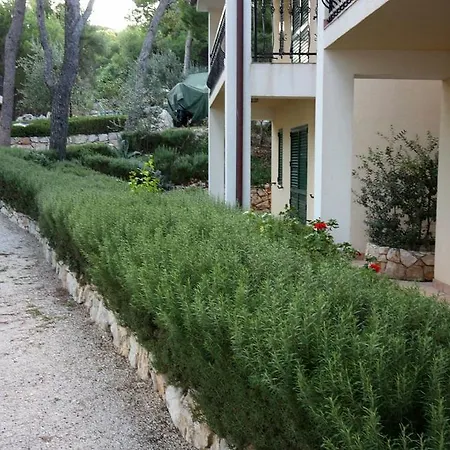 Rogoznica 3197a * Rogoznica (Sibenik-Knin)